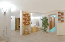 Chalet Hotel Alexandra  alternative view 3